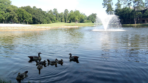 Golf Course «Golf Trails of the Woodlands», reviews and photos, 2311 N Millbend Dr, The Woodlands, TX 77380, USA