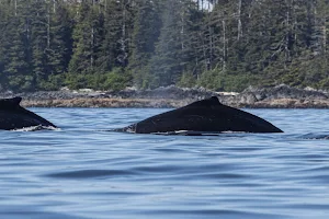 Ben's Sitka Boat Tours image