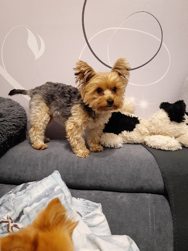 Dr. Isabel Kleine unter Wolframs-Eschenbach, Bayern