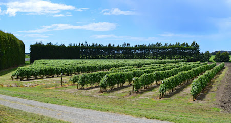 Iona Boysenberry Orchard