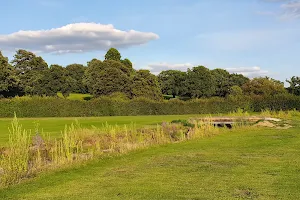 Oak Hill Wood Nature Reserve image