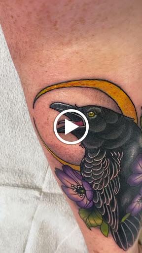 Explore san francisco 49ers tattoo ideas, creative tattoo ideas in Winter Haven, available at Angry Elephant Tattoos Winter Haven
