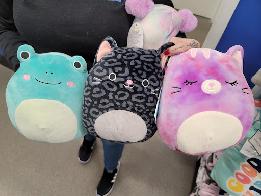 Variety Store «Five Below», reviews and photos, 386 NJ-3, Clifton, NJ 07014, USA