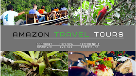 Amazon Travel