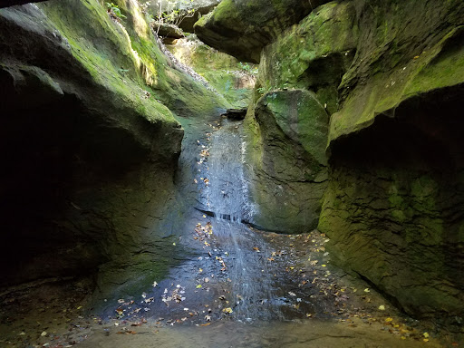 Campground «Fallen Rock Park Restaurant», reviews and photos, 8816 Fallen Rock Rd, Brazil, IN 47834, USA