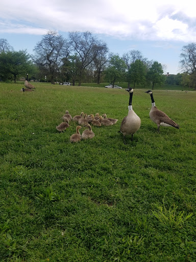Park «Marquette Park», reviews and photos, 6743 S Kedzie Ave, Chicago, IL 60629, USA