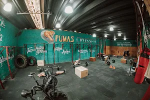 Pumas Fit image