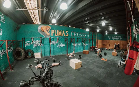 Pumas Fit image