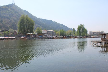 Srinagar