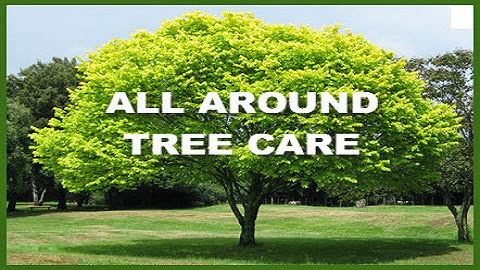All Around Tree Care