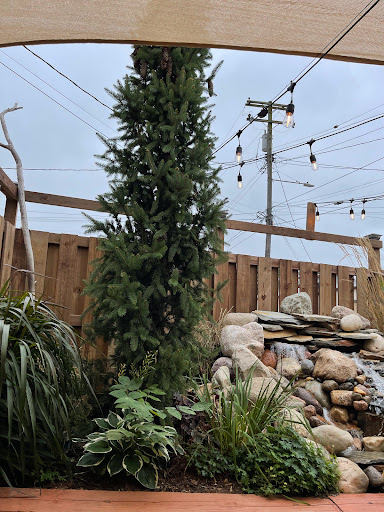 Winery «Sage Creek Winery», reviews and photos, 35050 Bordman Rd, Memphis, MI 48041, USA