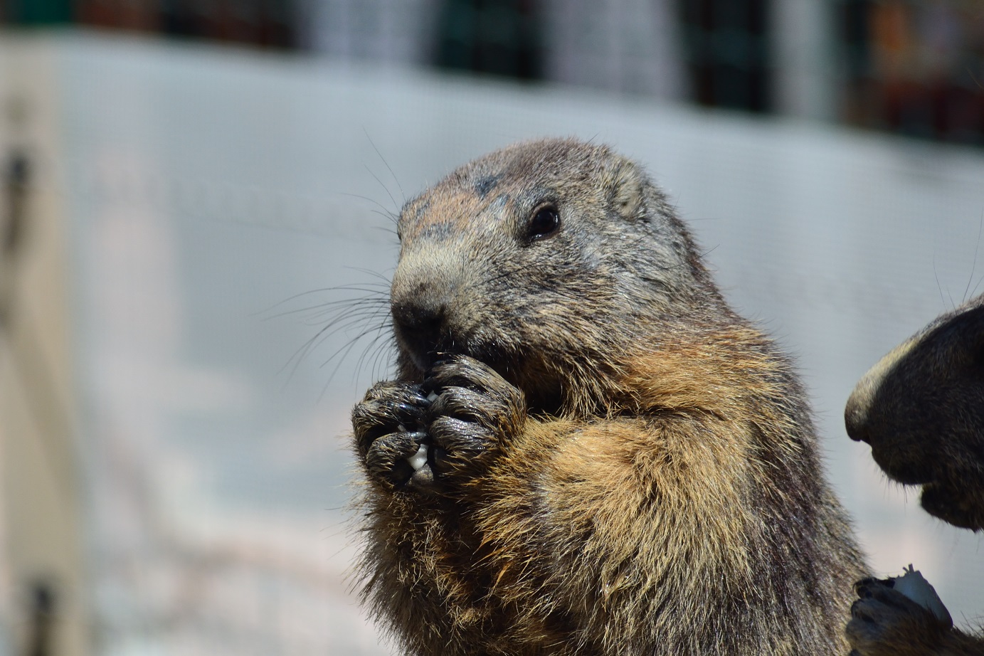 Photo n° 3 de l'avis de Fred. fait le 04/04/2021 à 16:44