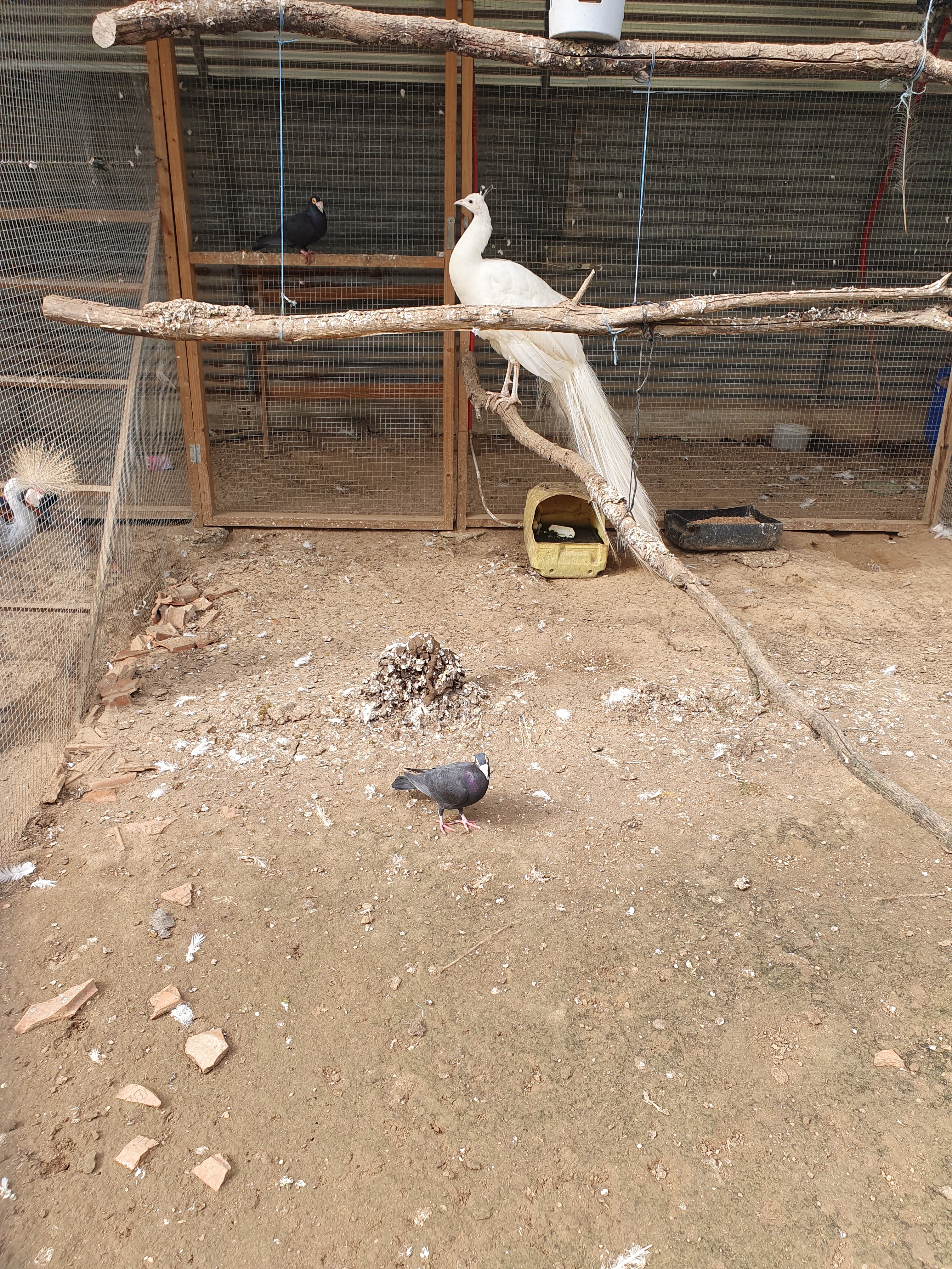 Photo n° 10 de l'avis de laurane.a fait le 11/04/2022 à 15:48