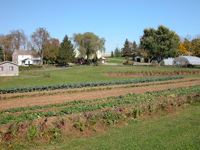 Homefields | Homefields Care Farm