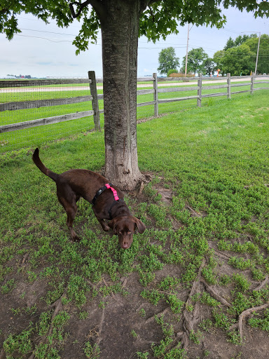 Dog Park «Daisy Dog Park», reviews and photos, 13214 Blakely Dr, Plainfield, IL 60585, USA