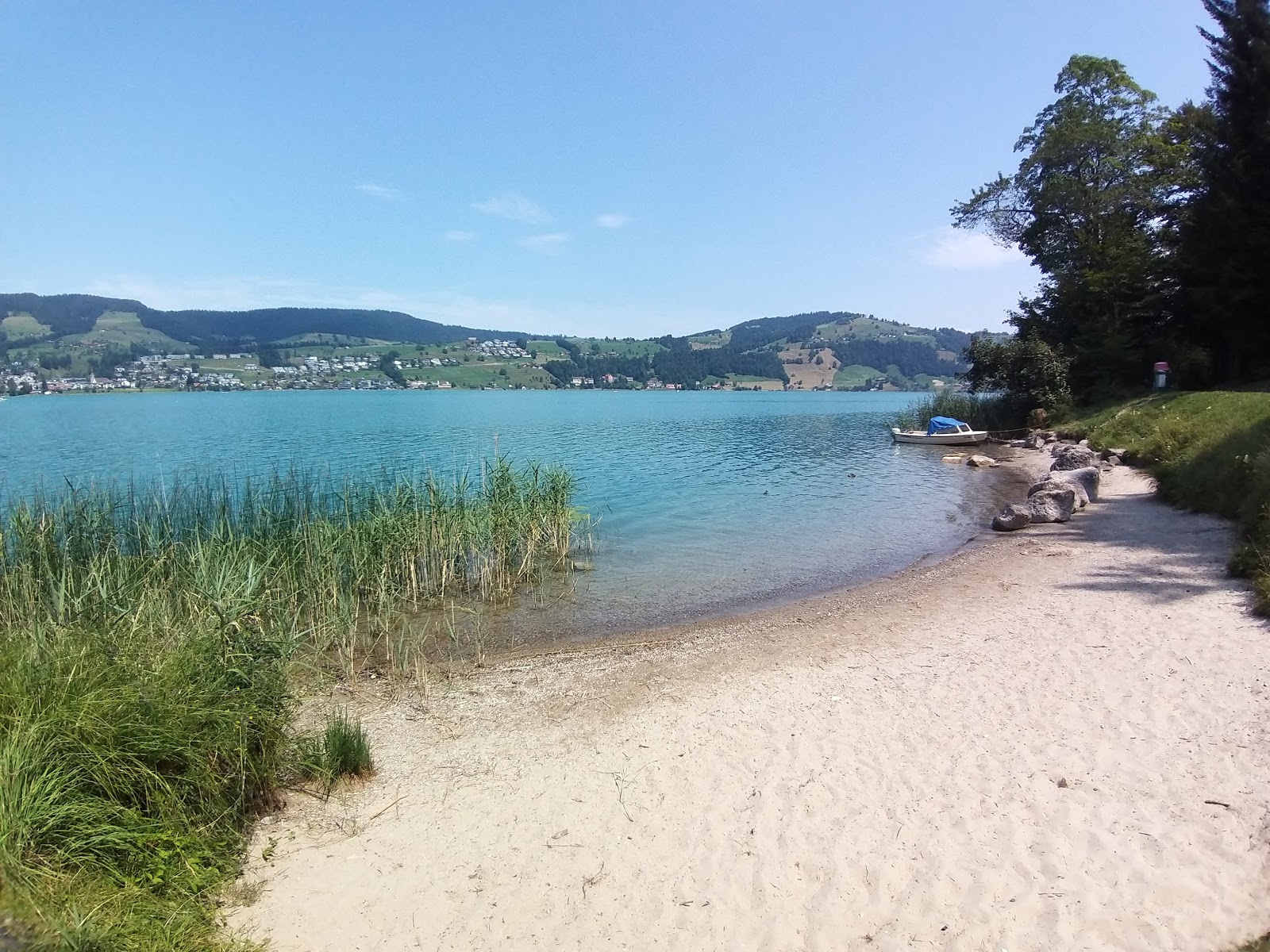 Foto de Bergwald Beach con arena brillante superficie