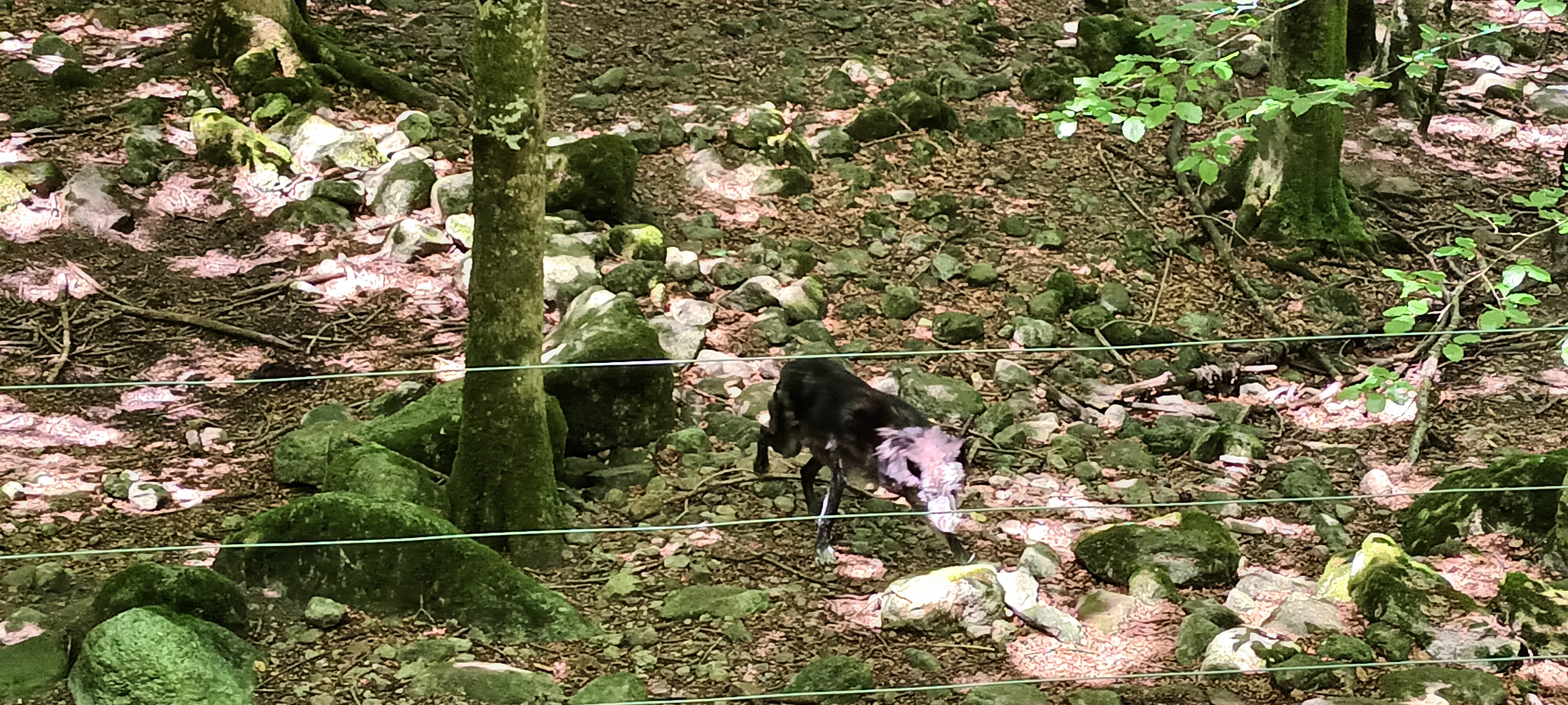 Photo n° 2 de l'avis de Thierry.R fait le 12/07/2022 à 05:49