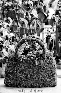 Cooleen Gardens - Photo 9 - Car repair in Bremerton, WA, Bremerton