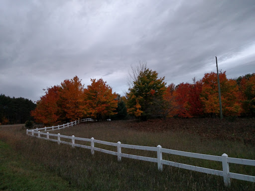 Public Golf Course «Manitou Passage Golf Club», reviews and photos, 4600 S Club Dr, Cedar, MI 49621, USA
