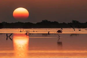 Tours Yucatán Mérida - Agencia de Tours image