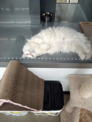 Department Store «Walmart Supercenter», reviews and photos, 911 Hebron Rd, Heath, OH 43056, USA