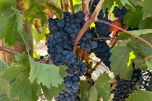 Rioja Wine Tours image
