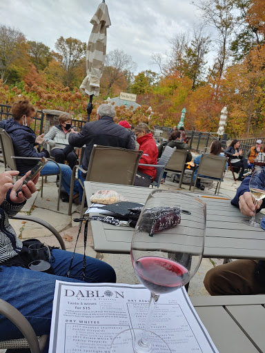 Winery «Dablon Vineyards & Winery», reviews and photos, 111 W Shawnee Rd, Baroda, MI 49101, USA