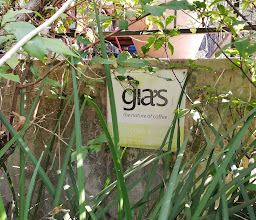 Gias on Montrose photo
