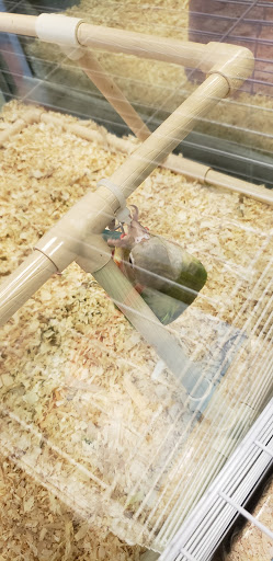 Pet Store «Friendly Pets», reviews and photos, 625 Friendly Center Rd, Greensboro, NC 27408, USA