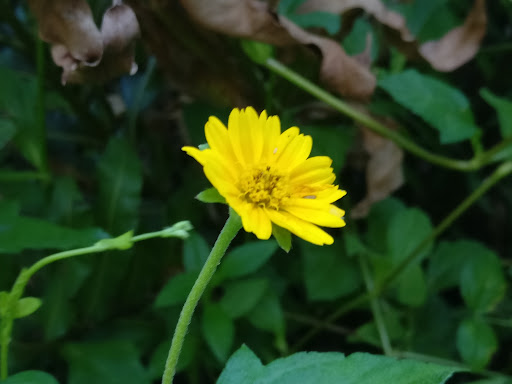 Park «Lowry Park», reviews and photos, 7525 North Blvd, Tampa, FL 33604, USA