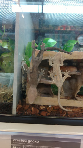 Pet Supply Store «Petco Animal Supplies», reviews and photos, 12444 NW 10th St #301, Yukon, OK 73099, USA