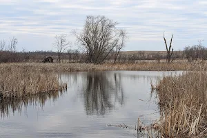 Muskrat Slough Wildlife Management Area image