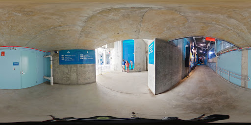 Clearwater Marine Aquarium