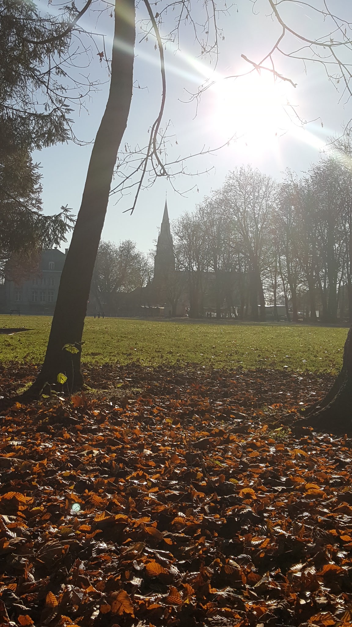 Photo n° 2 de l'avis de Sv.S fait le 05/12/2016 à 13:26