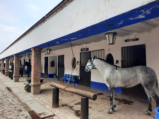 Centro Cultural Ecuestre Domecq