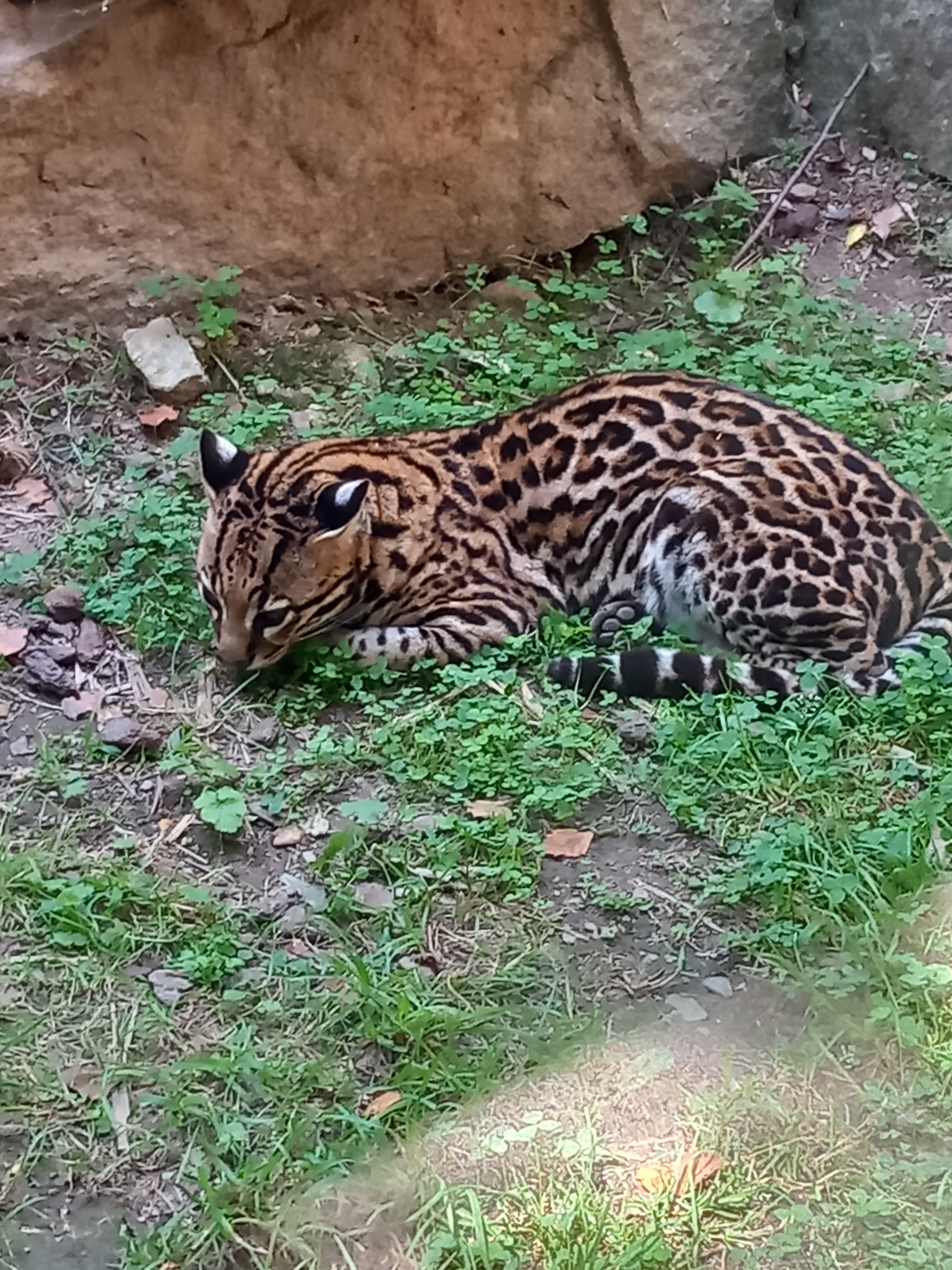 Photo n° 4 de l'avis de Cédric.O fait le 10/08/2023 à 16:41