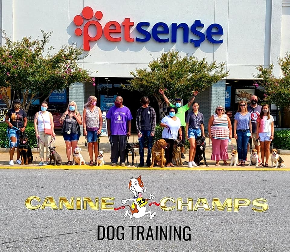 Canine Champs Dog Training