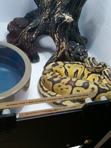 Pet Store «Fish Bowl», reviews and photos, 2117 E Race Ave, Searcy, AR 72143, USA