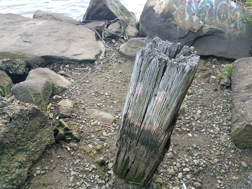 Gourmet Grocery Store «Eastside Marketplace», reviews and photos, 165 Pitman St, Providence, RI 02906, USA