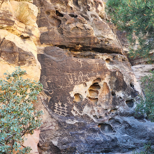 Petroglyph Wall Trailhead