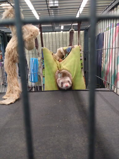 Pet Store «Wet Pet & Reptile Center», reviews and photos, 429 Eastern Blvd, Essex, MD 21221, USA