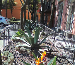 Pueblo de Tizapan Park photo