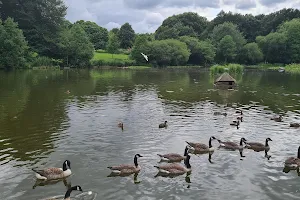 Acton Park Community Angling Club image
