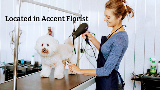 Pretti Paw Pet Grooming, 1677 N Expy, Griffin, GA 30223, USA, 