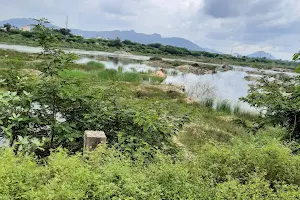 Kalinjur Lake image