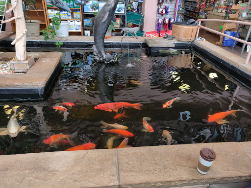 Pet Store «Pet Paradise Grooming», reviews and photos, 1115 Pueblo Blvd Way, Pueblo, CO 81005, USA