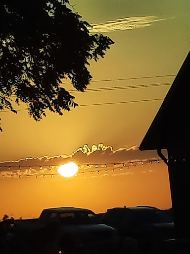 Vineyard «Ardon Creek Vineyard and Winery», reviews and photos, 2391 Independence Ave, Letts, IA 52754, USA