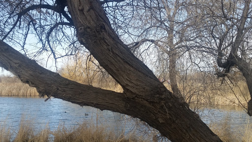 Nature Preserve «Wilson Springs Ponds», reviews and photos, 3209-3507 S Powerline Rd, Nampa, ID 83686, USA