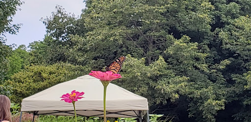 Winery «Bel Lago Vineyards & Winery», reviews and photos, 6530 S Lake Shore Dr, Cedar, MI 49621, USA