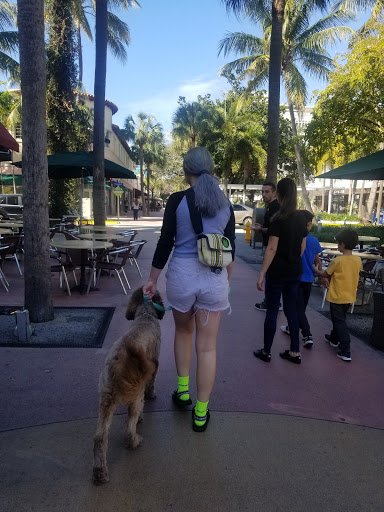 Book Store «Books & Books», reviews and photos, 927 Lincoln Ln N, Miami Beach, FL 33139, USA